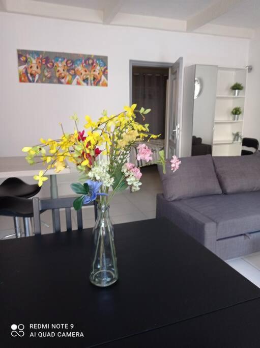 Appartement Au Coeur Du Village Sanary-sur-Mer Dış mekan fotoğraf